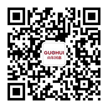 山东国惠投资有限公司 山东国惠投资有限公司